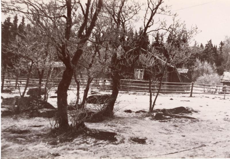 Esikatselukuva: Vilissalon saaressa oleva rakennus, Sjöblomin torppa
