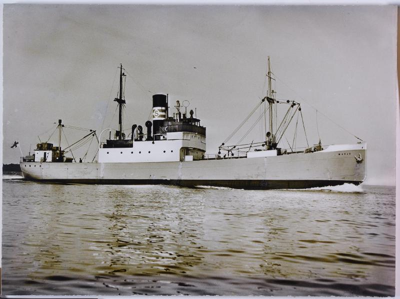 Esikatselukuva:&nbsp;laivapotretti, s/s Warjo, rahtilaiva, rahti-alus