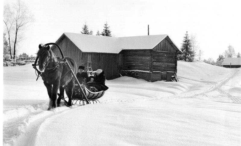 Esikatselukuva: Juho ja Elisa Kyytinen rekiajelulla, taustalla Toivo Kyytisen riihi.