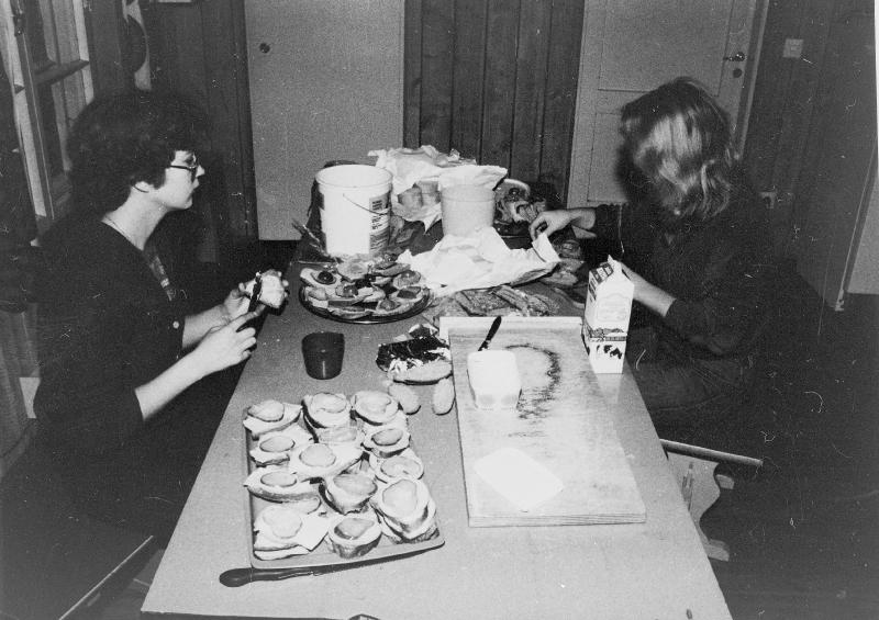 Esikatselukuva: Työleiri 1/80 Tammen tilan metsässä Kullaalla 1980